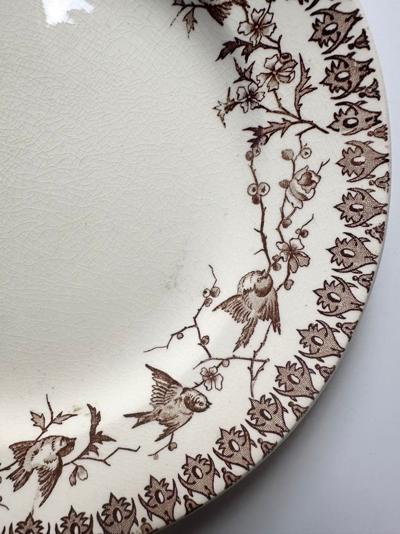 Choisy le roi ディナープレート　平皿　フランス　アンティーク　皿