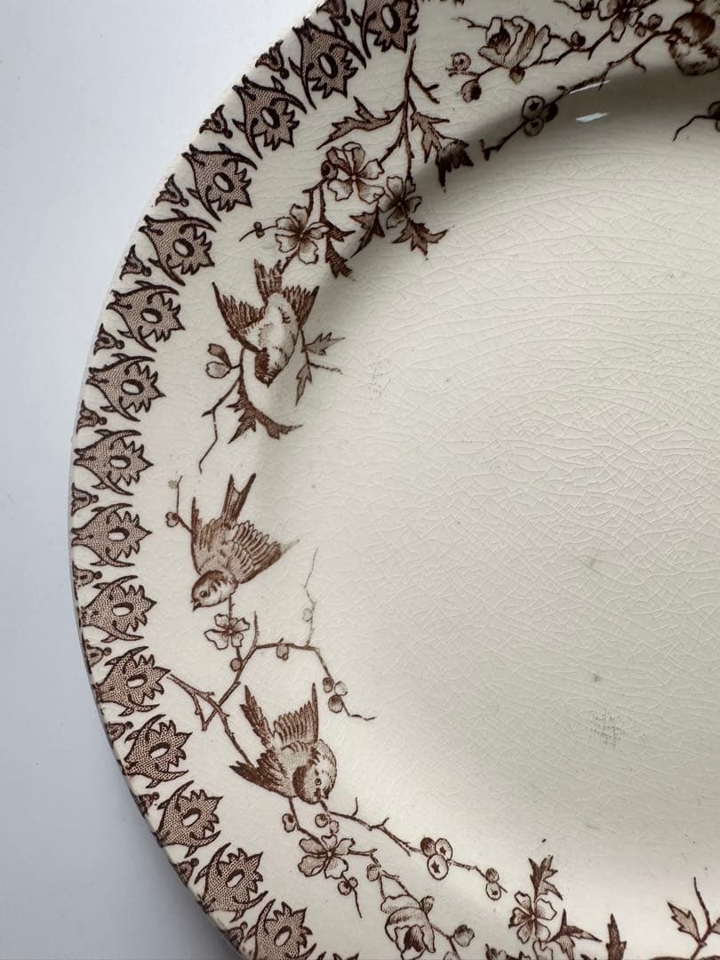 Choisy le roi ディナープレート　平皿　フランス　アンティーク　皿