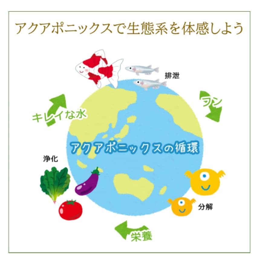 アクアポニックス 水耕栽培キット おさかな畑 SQUARE 35L 屋外・屋内用