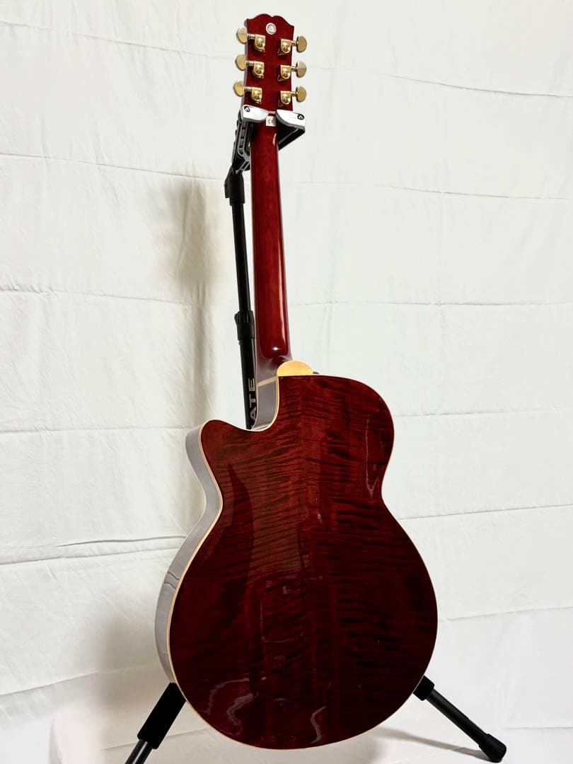 【新品弦張替済】Zenn エレアコ ZF33CE fホール グローバーペグ