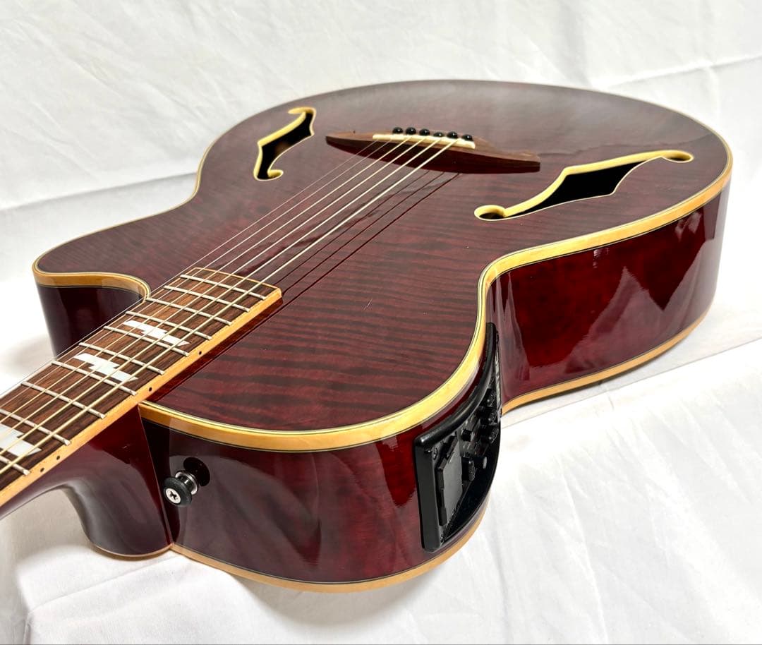 【新品弦張替済】Zenn エレアコ ZF33CE fホール グローバーペグ