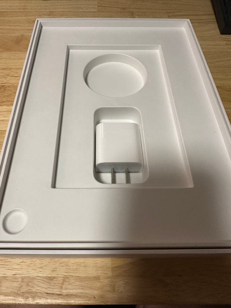 iPad Pro 第一世代 11インチ 256GB Wi-Fi