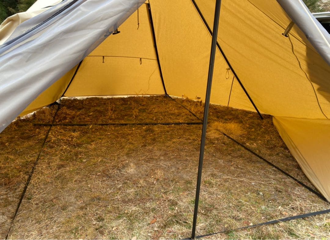 モニグロ　二股ポール　モーニンググローリーtc