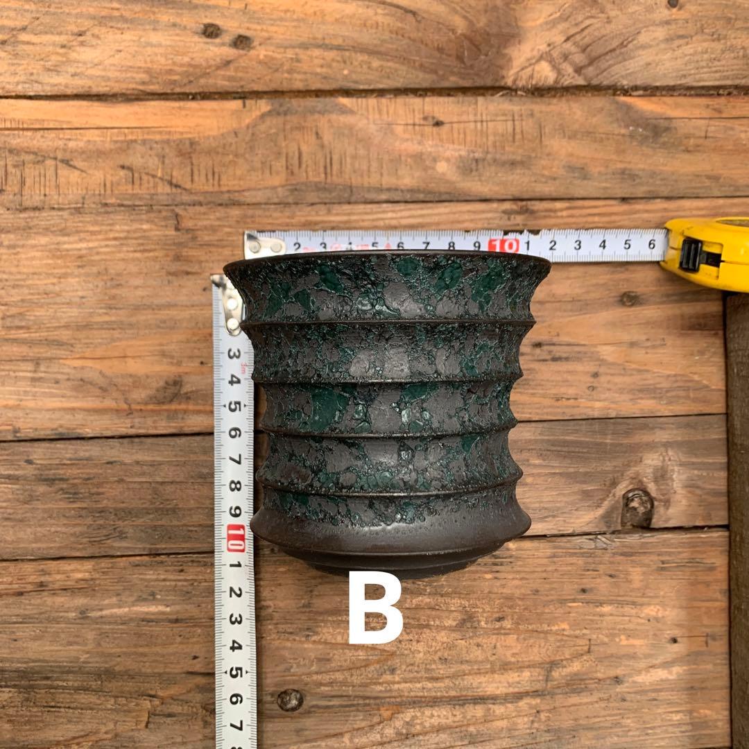 植木鉢 陶器 （塊根植物 アガベ パキプス ）