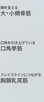 リフトケア★パナソニック美顔器 バイタリフト RF EX EH-SR86-T