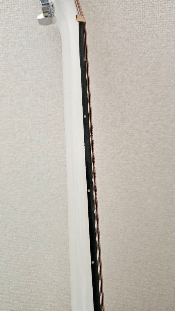 LEGEND レジェンド/ byAria アコースティックギター FG-15