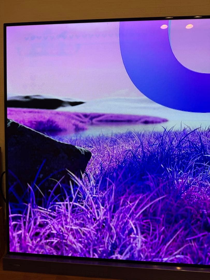 レグザ　55X9400S 有機ELテレビ 55インチ