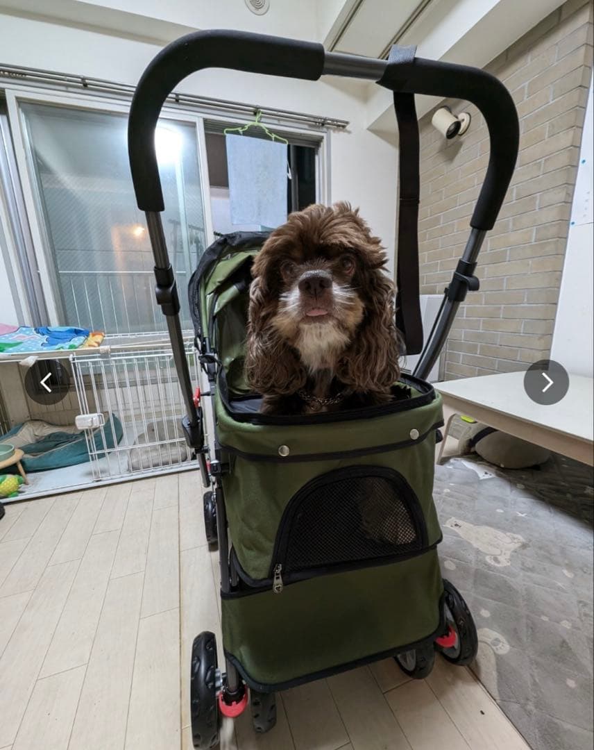 ペットバギー　ペットカート 小型犬 中型犬