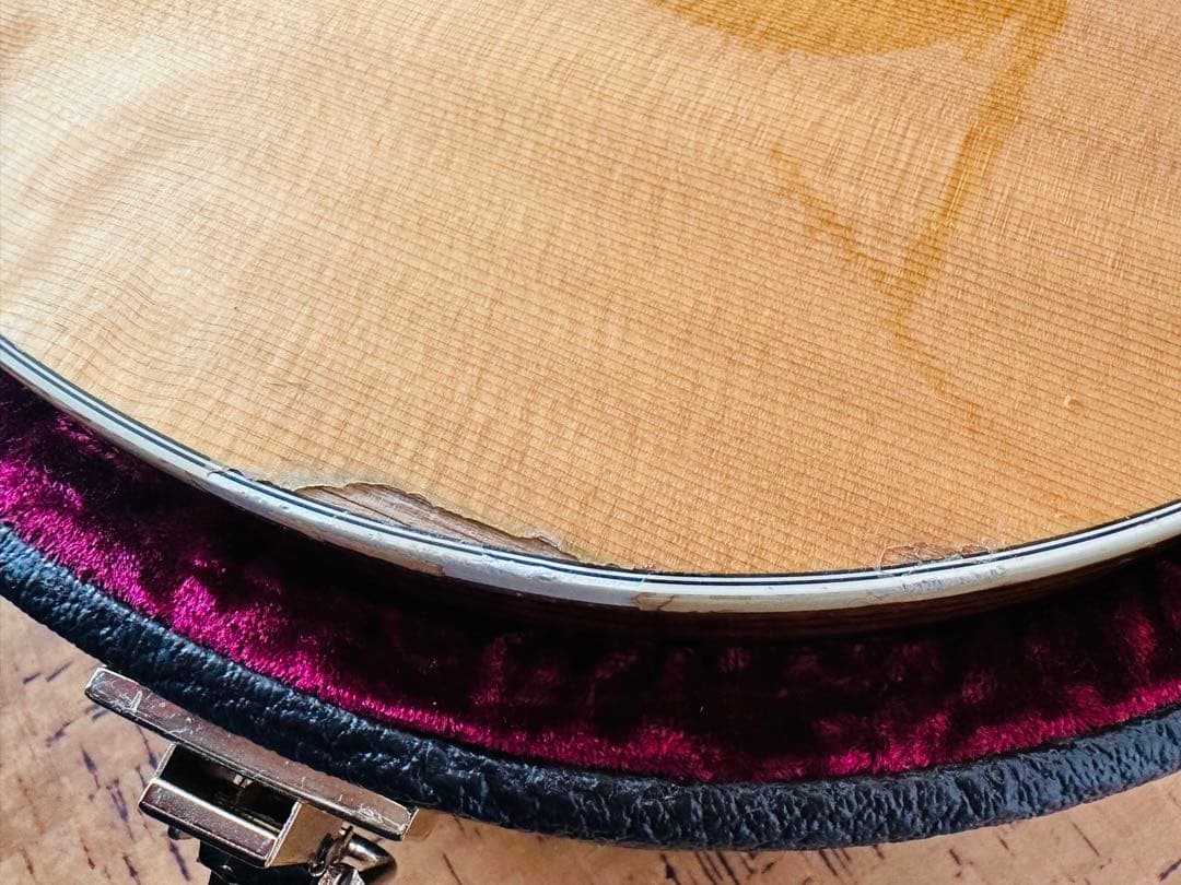 Taylor 214ce Fall-LTD エレアコ