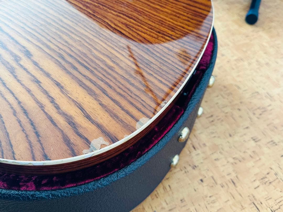 Taylor 214ce Fall-LTD エレアコ