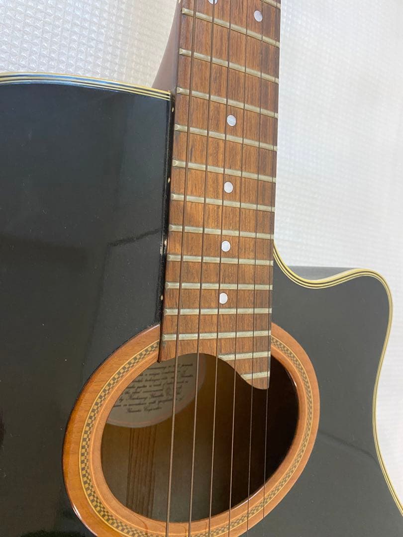 YAMAHA ヤマハAPX-6S