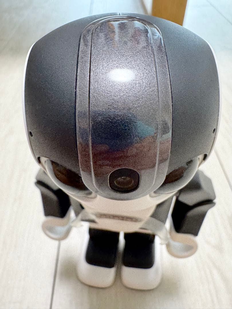 【極美品】SHARP RoBoHoN SR-03M-T ロボホン