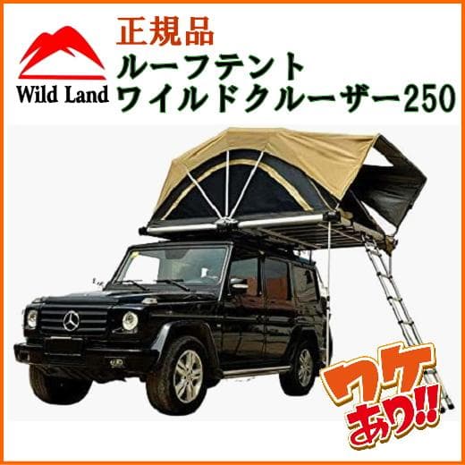 ★訳アリ★Wild Cruiser◆ワイルドクルーザー【WildLand】