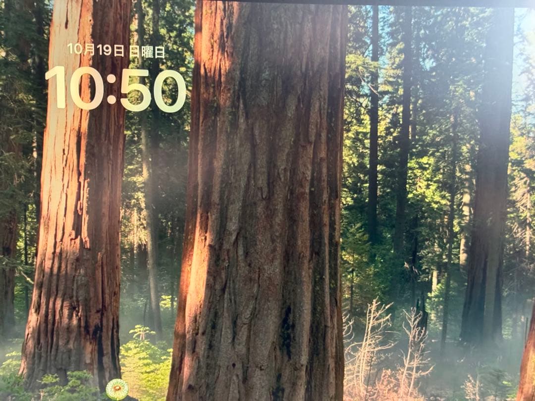 アダムさま専用 MSI Modern MD342CQPW 34インチモニター