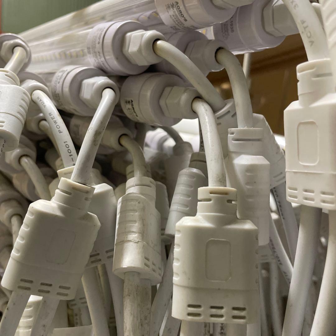 まゆ植物育成用LED蛍光灯 100本　 AGRO約120cm 22W 中古