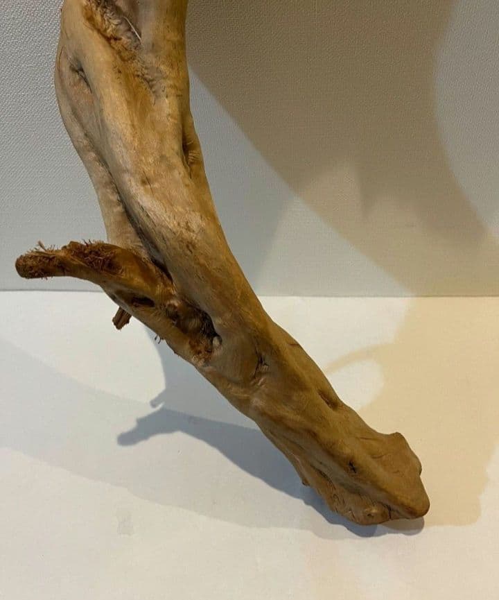 流木　止まり木　約82センチ