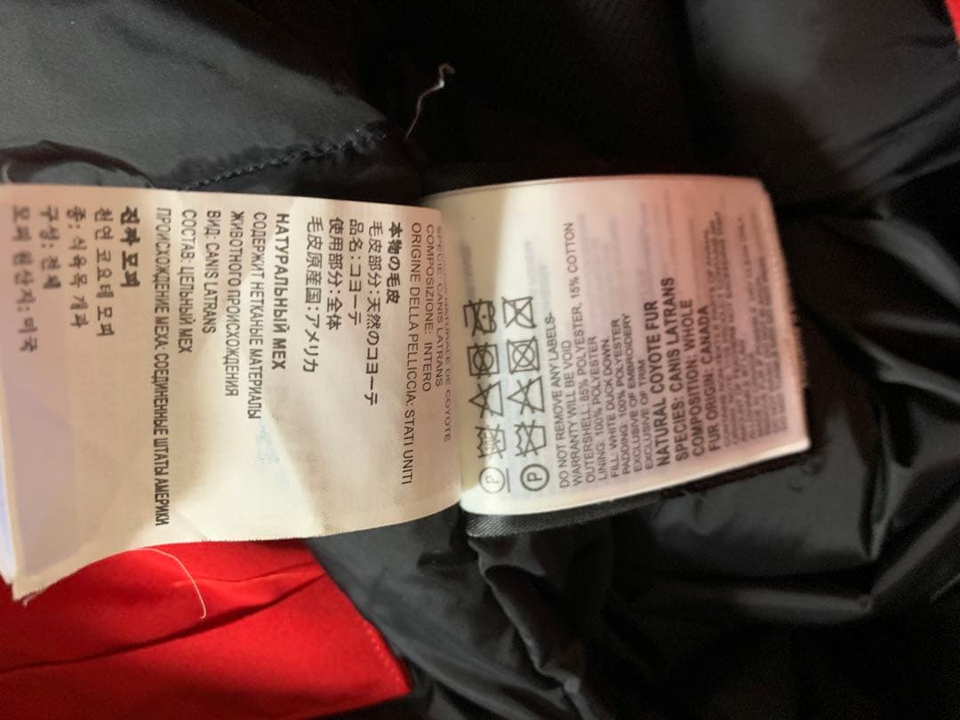   カナダグースダウンジャケット L/G レッド タグ有り