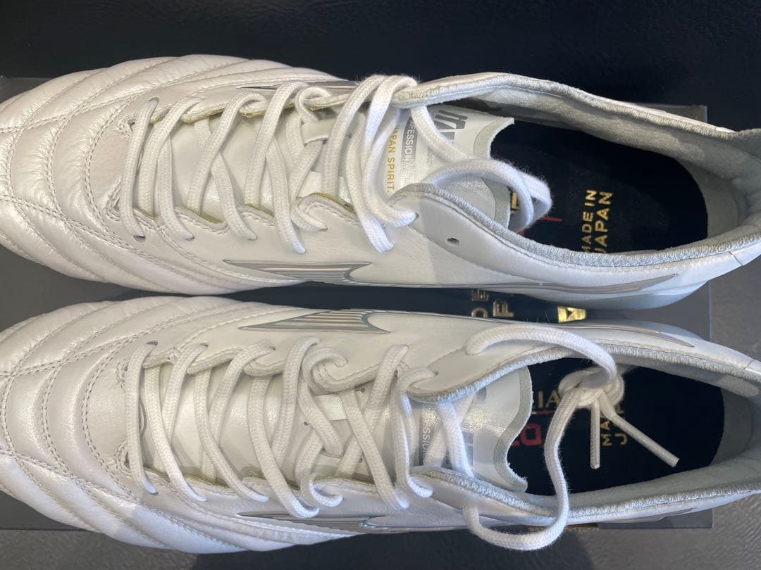 モレリアネオスリージャパン