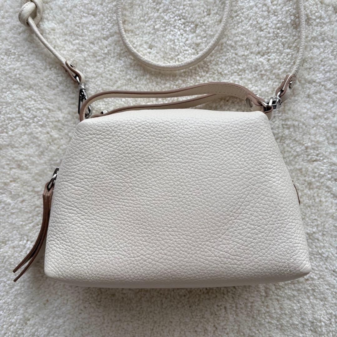 【美品】GIANNICHIARINI ショルダーバッグ アリファ S マーブル