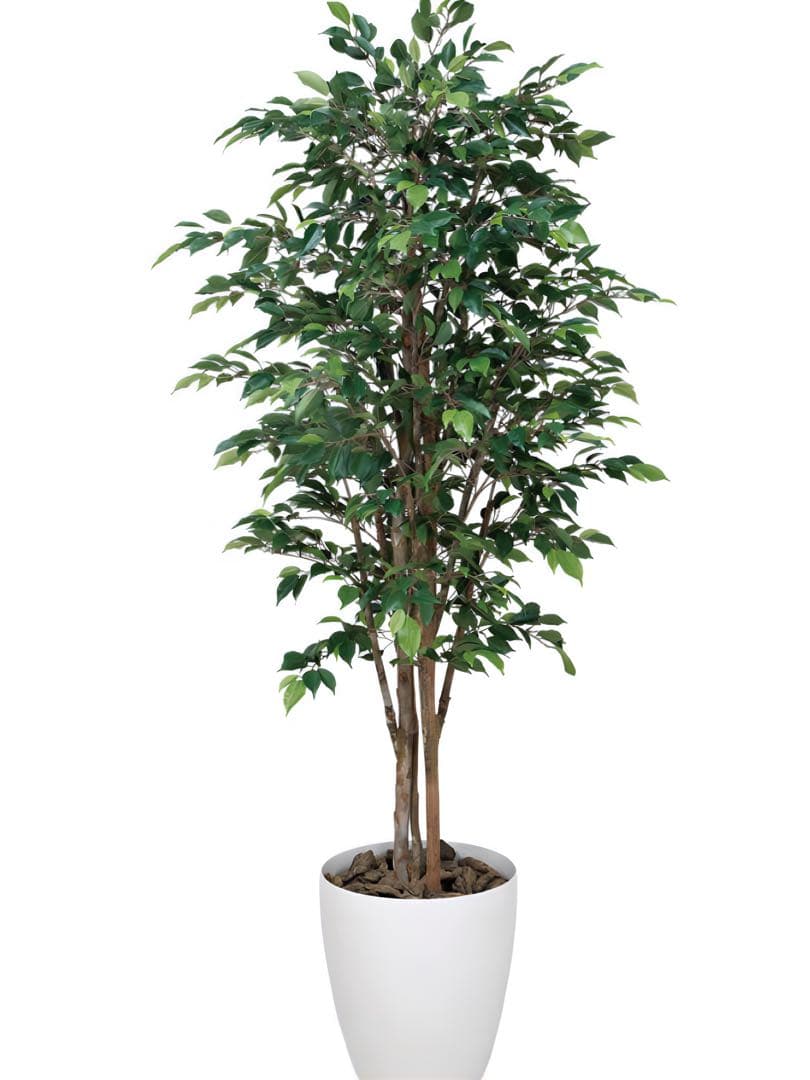 光触媒　人工観葉植物　フェイクグリーン　ロイヤルベンジャミン 1.6m