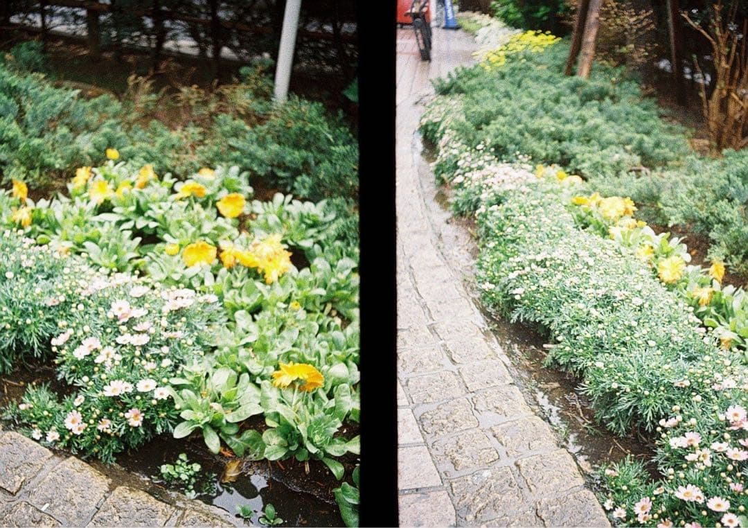 OLYMPUS PEN FT フィルムカメラ