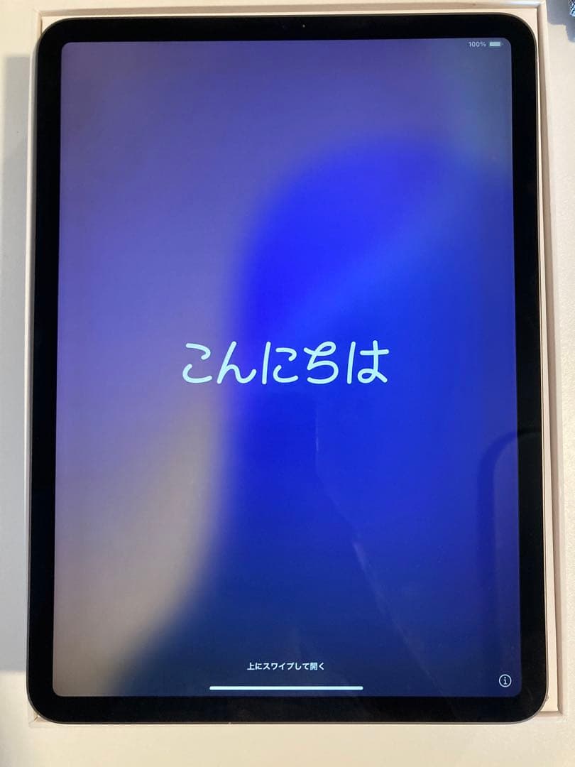 【9/28まで出品予定】iPad Pro 11インチ　電池良好　iPad本体