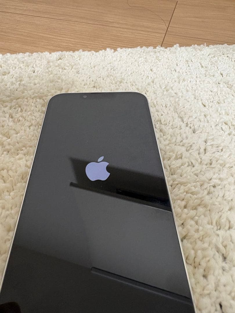 Apple iPhone 13 Pro 256GB シルバー 本体