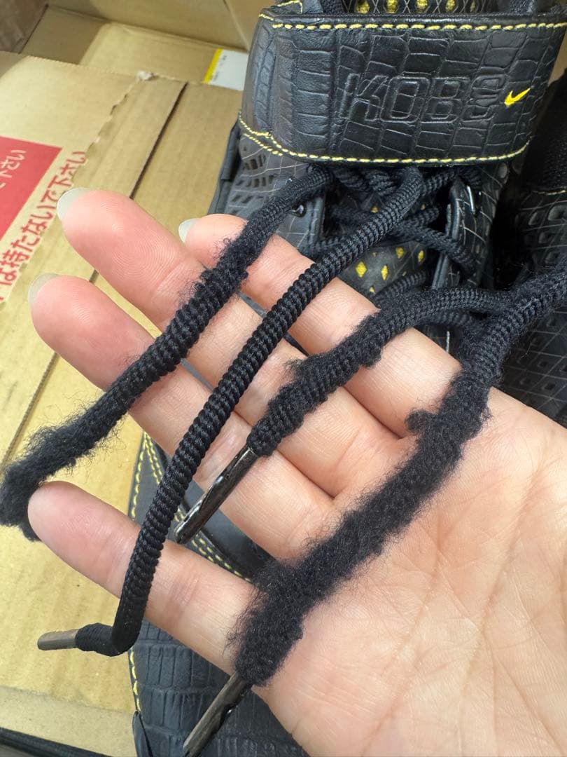 ナイキZoom kobe2 \"Carpe Diem\"27.5cm (説明欄必読)