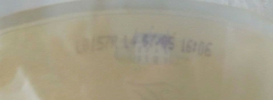 MACALLAN　マッカラン25 年 700ml (空ビン）箱なし コルク栓なし