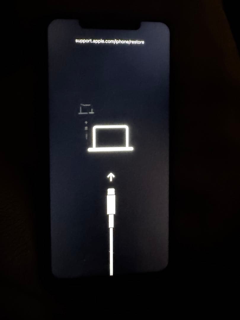 iPhone 11 Pro Max 256GB SIMフリー　ジャンク