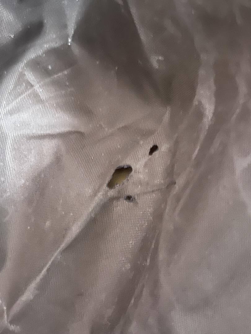  peak エントリー2ルーム　エルフィールド TP-880