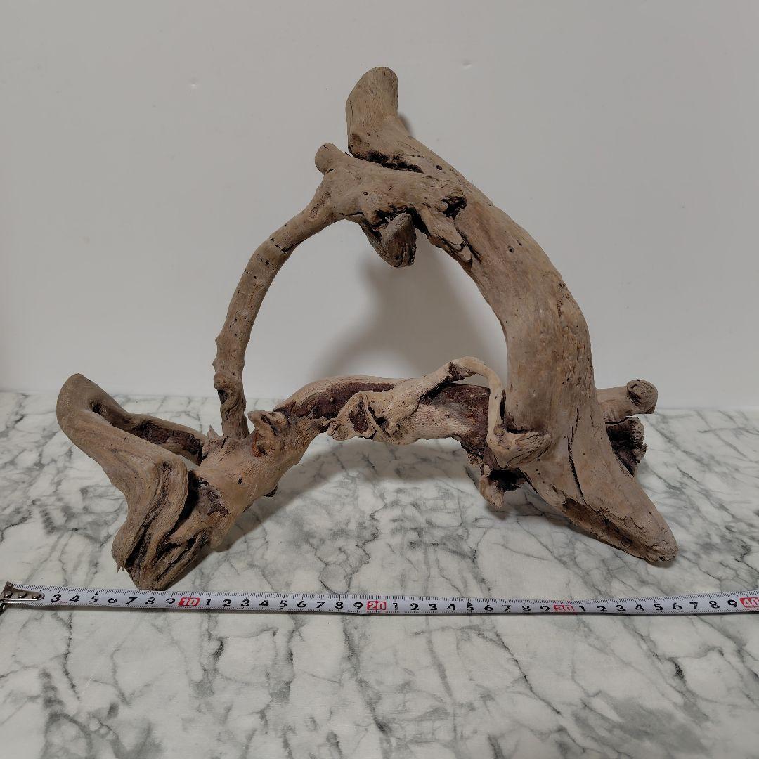 アク抜き済み流木【847】セール