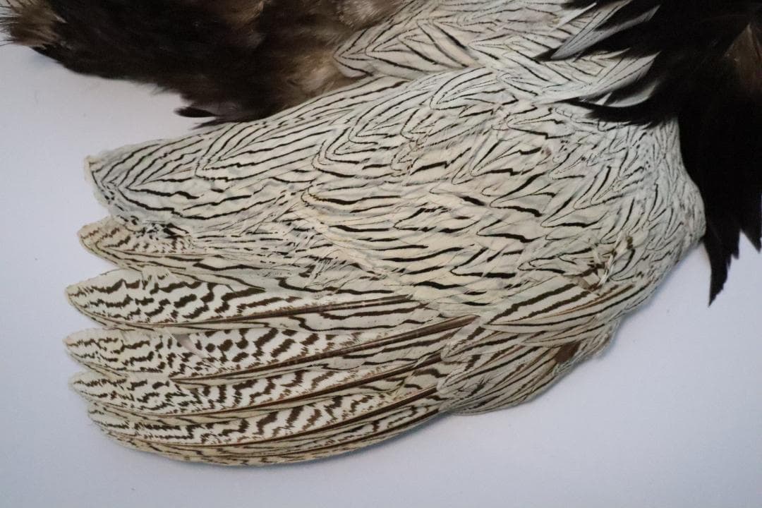 シルバーフェザント　コンプリート　フライフィッシングマテリアル