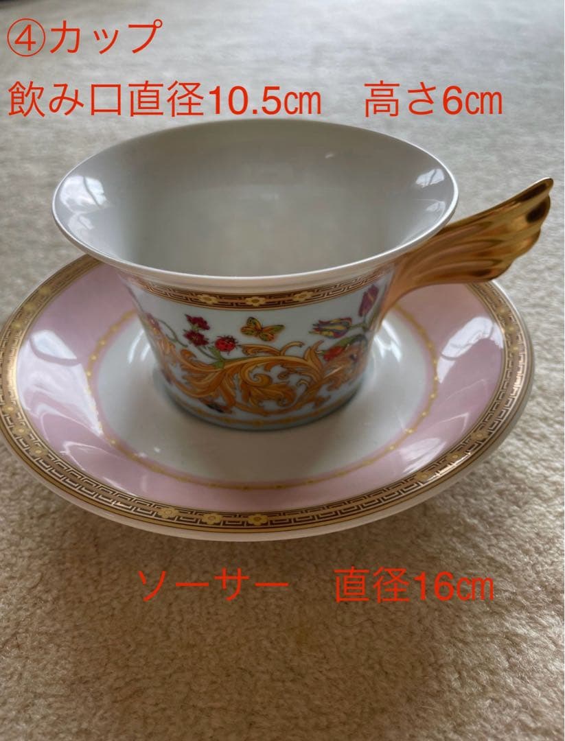 新品、未使用！レア⭐︎ジャンニヴェルサーチ×ローゼンタール食器6点セット