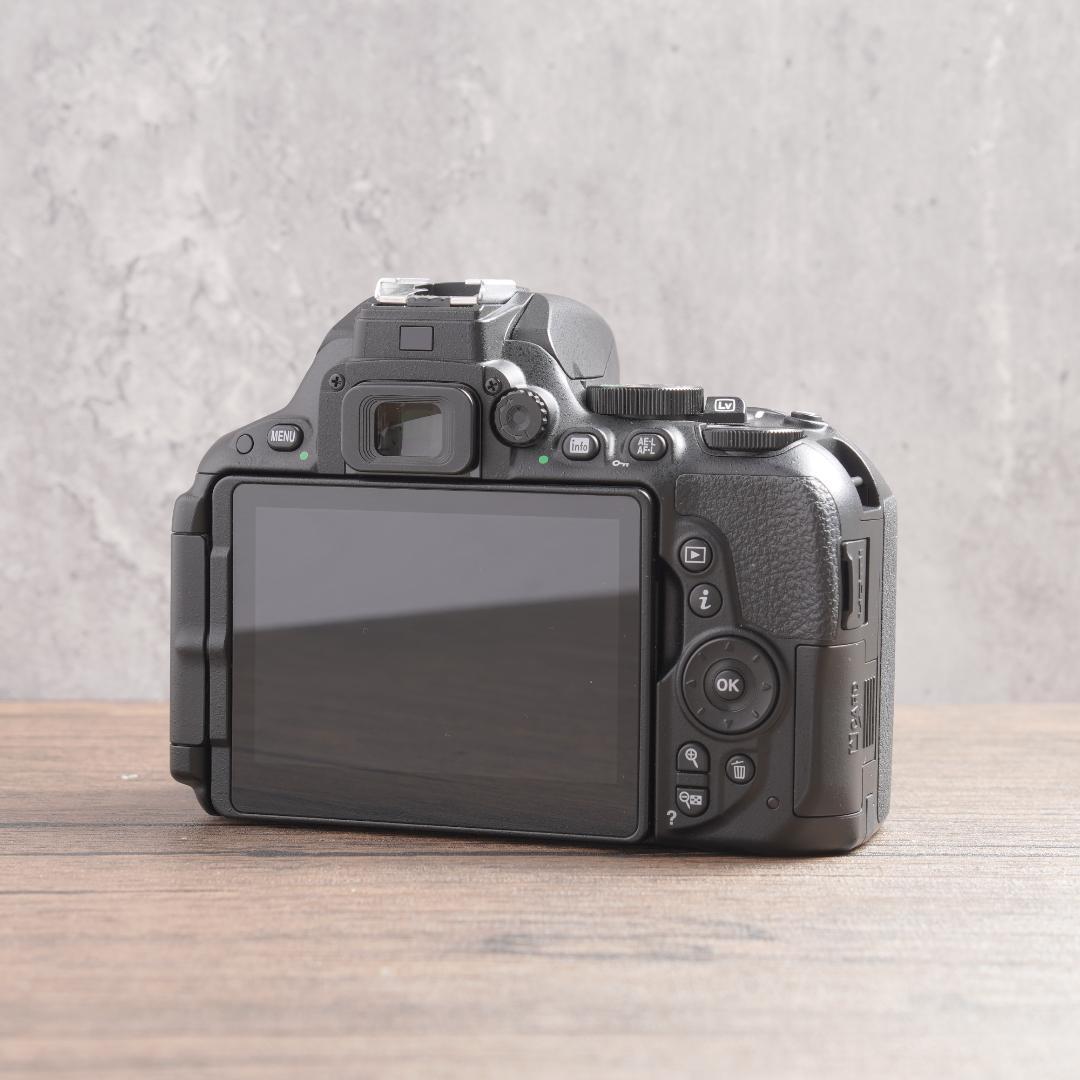 ✨ショット数4405回で美品✨Wi-Fi✨Nikon D5500　875-1