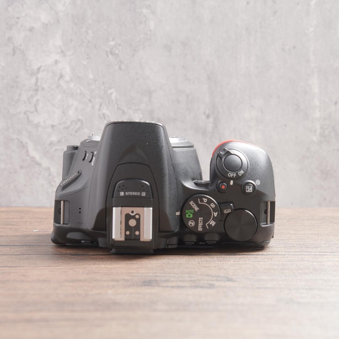 ✨ショット数4405回で美品✨Wi-Fi✨Nikon D5500　875-1