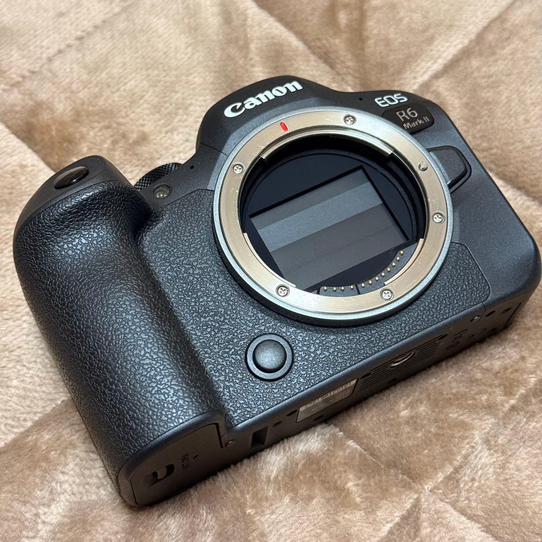 Canon EOS R6 Mark Ⅱ 純正予備バッテリーセット
