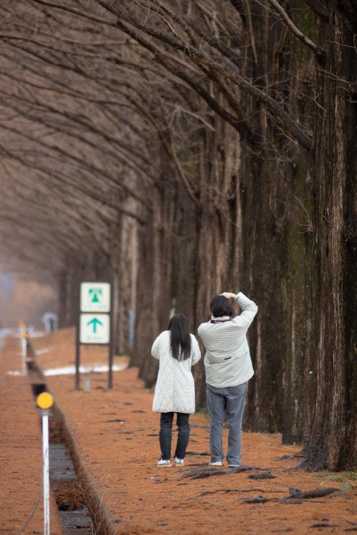 [#387] TAMRON AF 200-400mm F5.6 キャノン