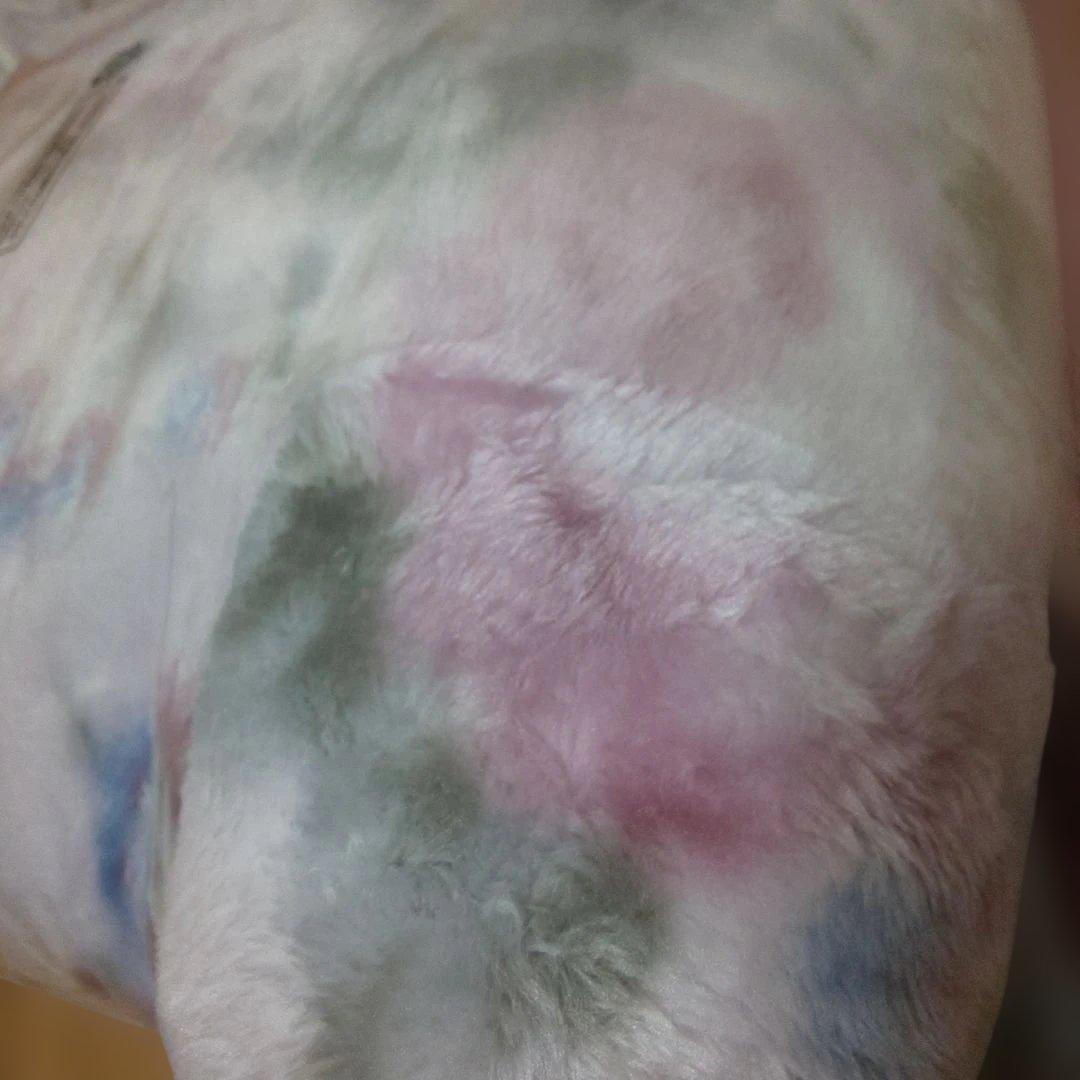 bmx様2点まとめ買い 西川衿付き合わせ毛布