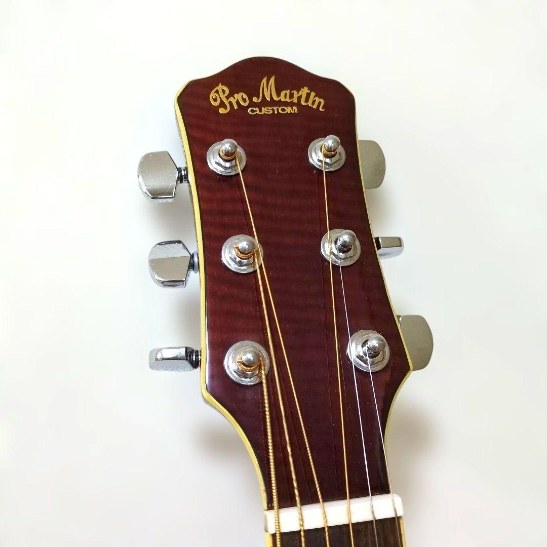 Pro Martin EA500W VS エレアコ