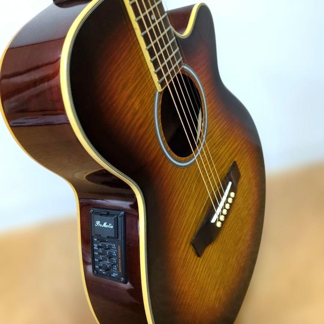 Pro Martin EA500W VS エレアコ