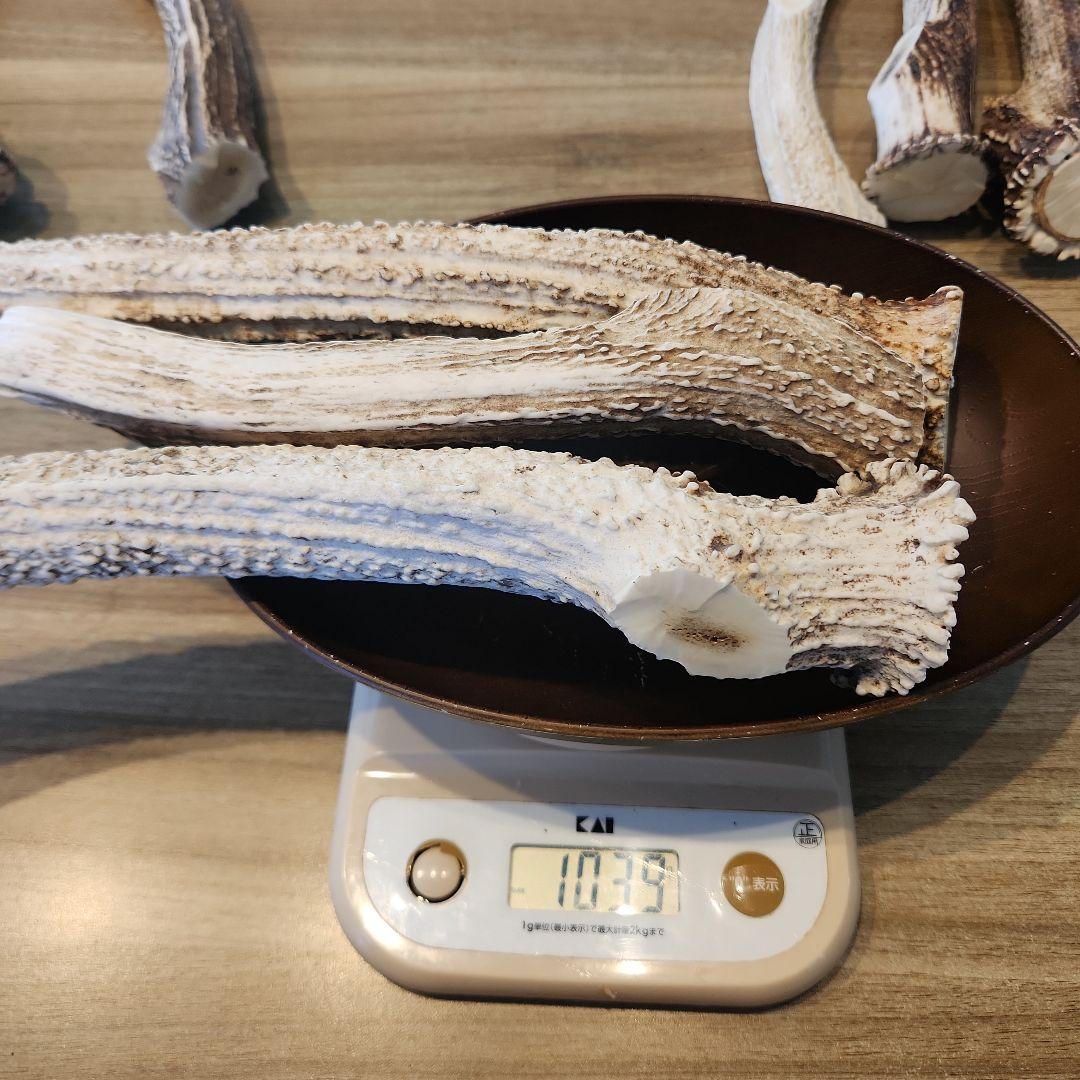 鹿の角 (特大～大サイズ)犬用おもちゃ ランダム　10kg