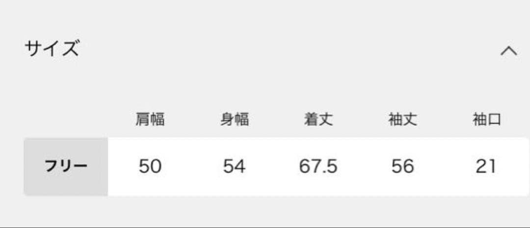 完売カラー　スピック&スパン　ライトオンスデニムシャツ
