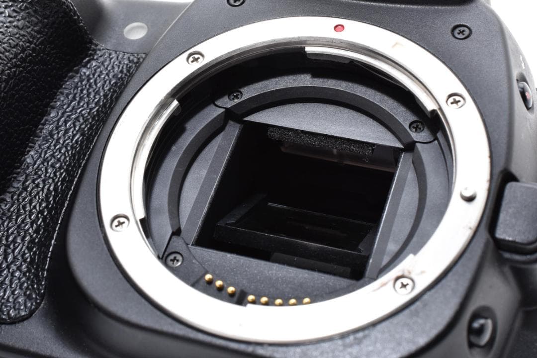 Canon キヤノン EOS 20D ボディ