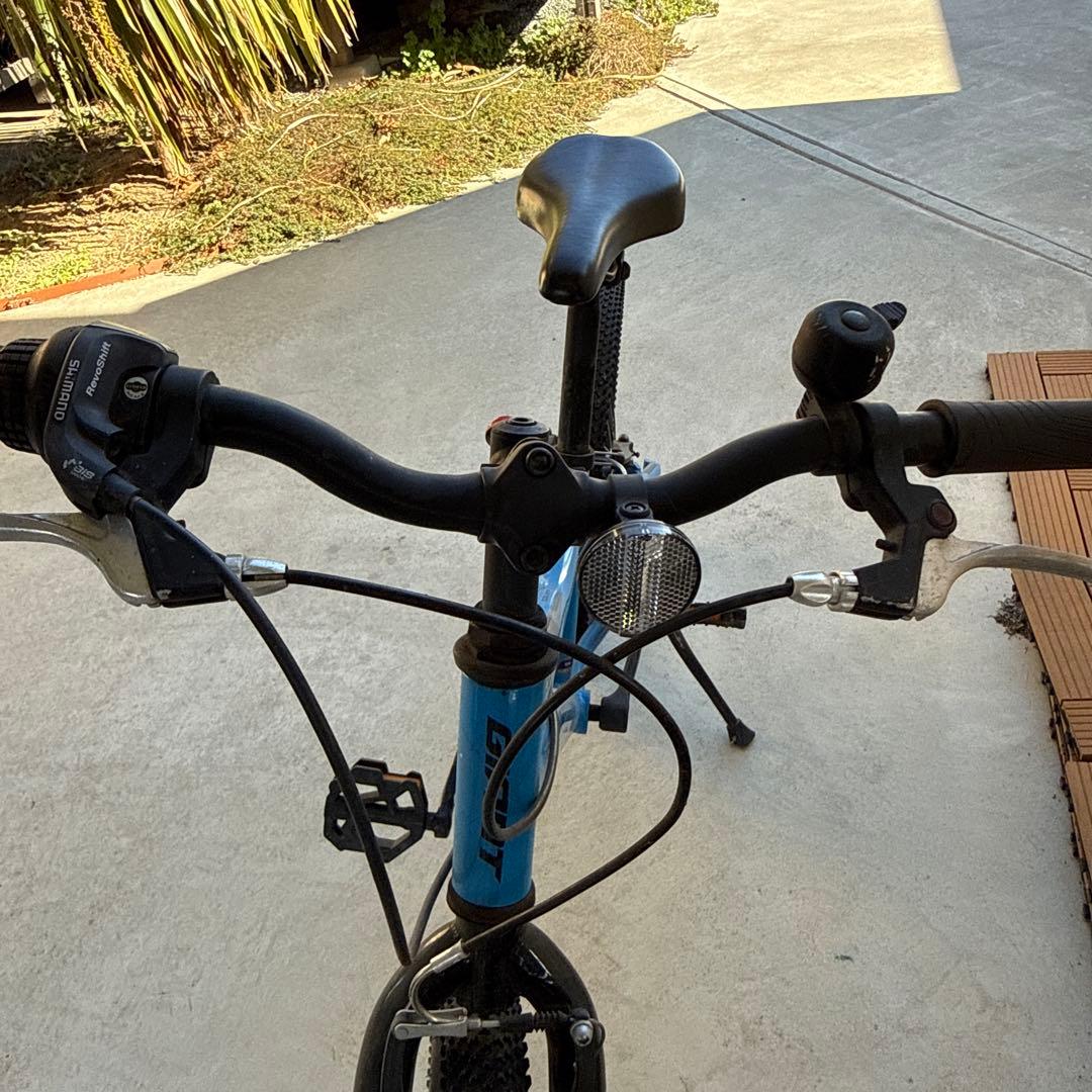 Giant キッズバイク 20インチ 青