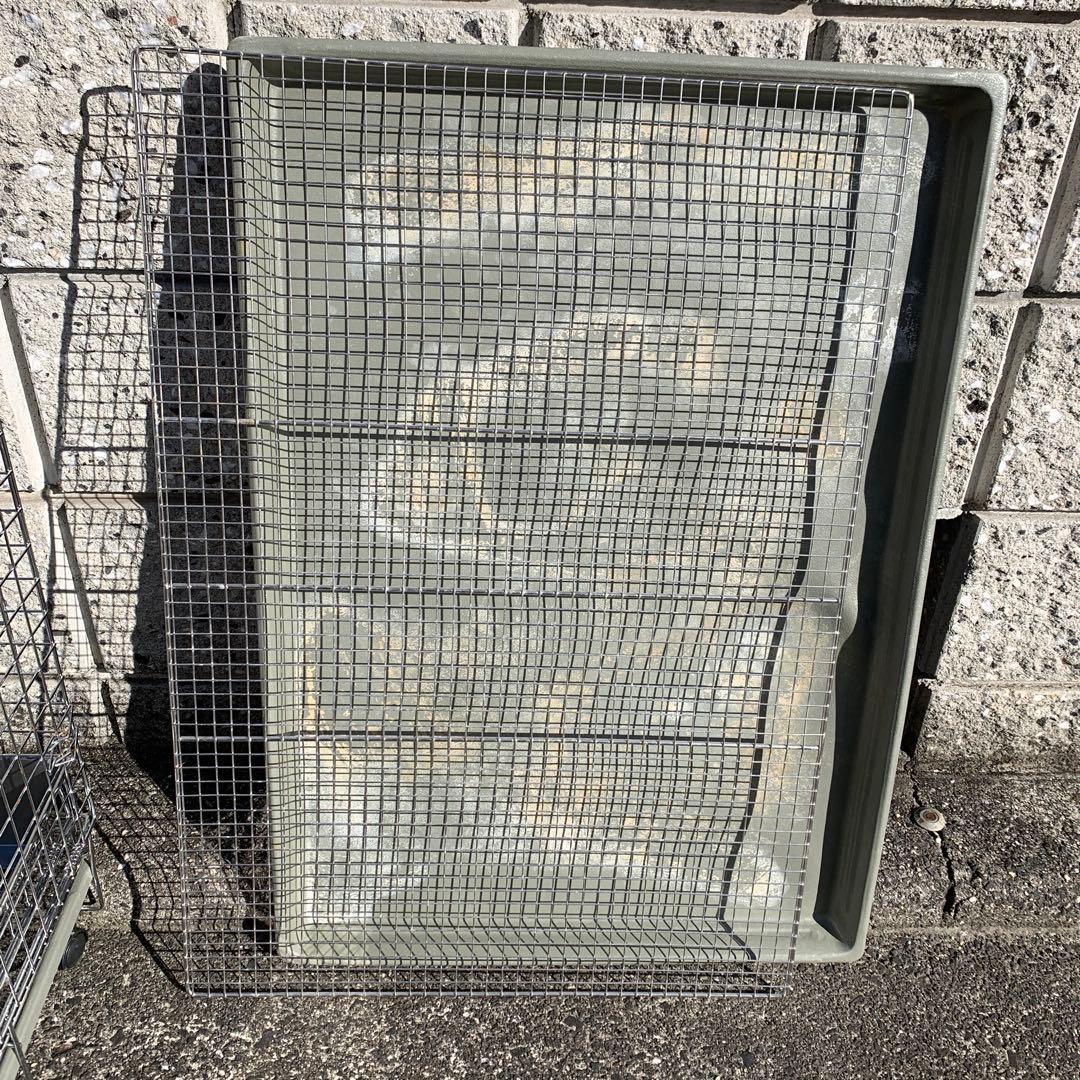 うさぎのしっぽ　オリジナル　プロケージ80