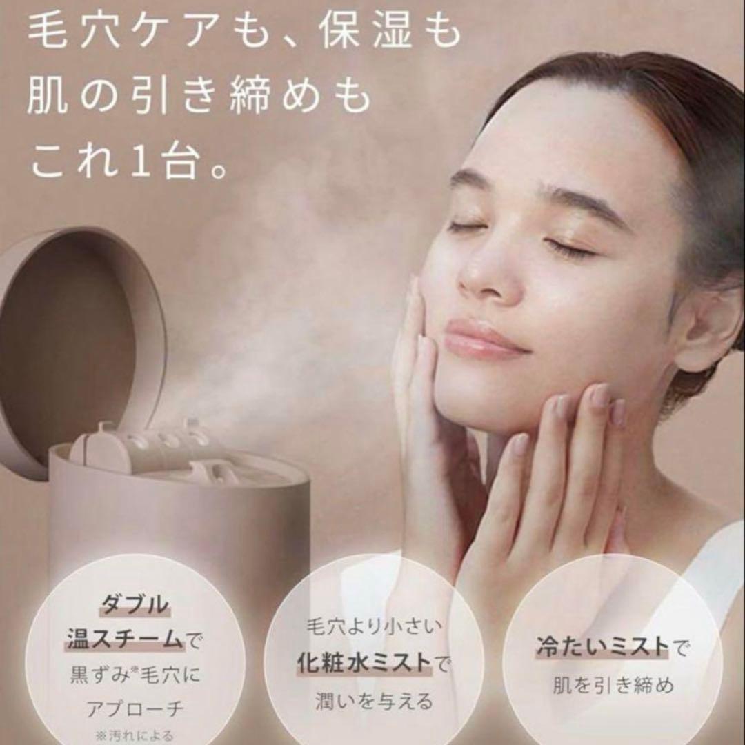 新品　SALONIA ピュアブライトスチーマー（型番 SAL22207SL）