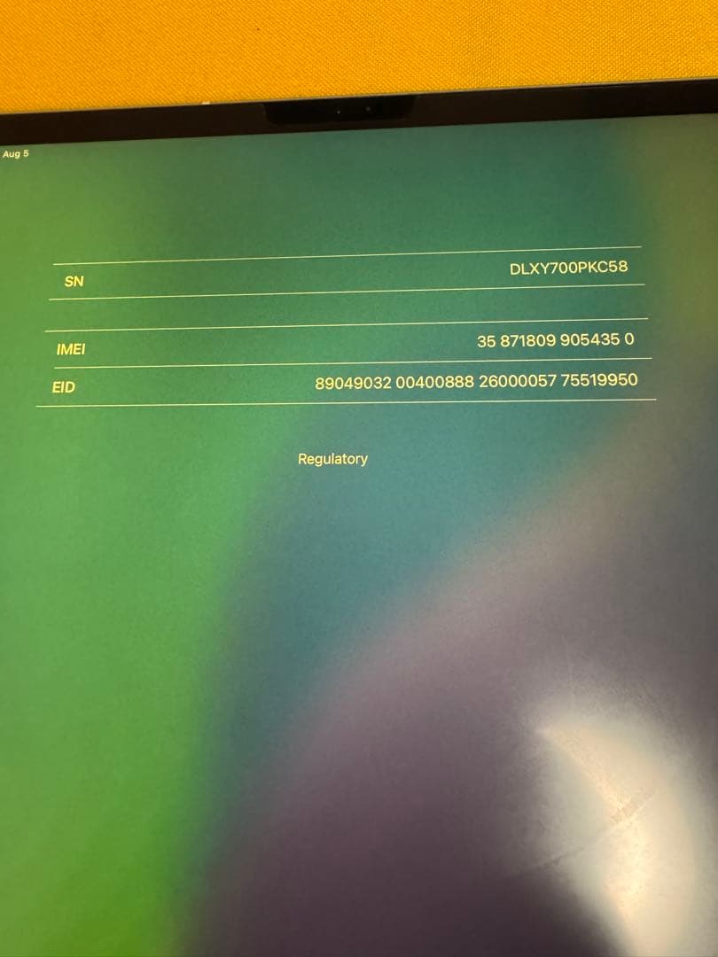 Apple iPad pro 12.9 セルラー 256gb