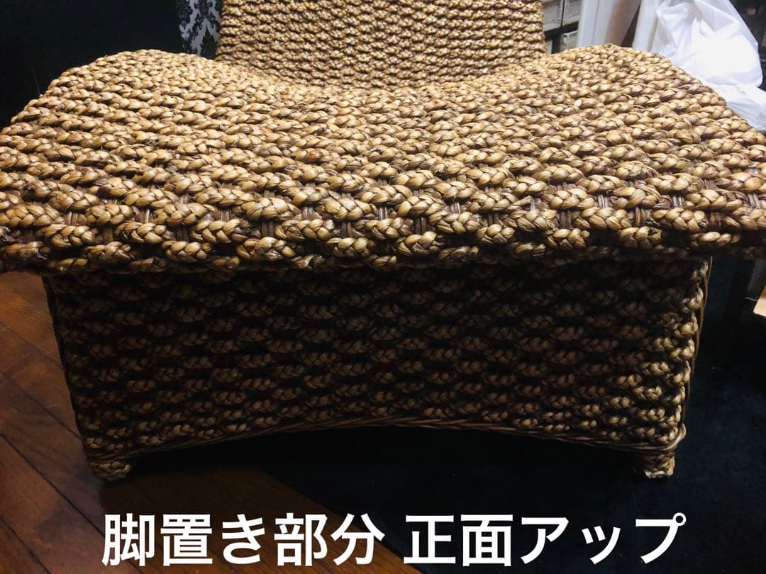 超稀少♦️ウォーターヒヤシンス♦️最高級リゾート　サンベット♦️シェーズロング♦️送料込