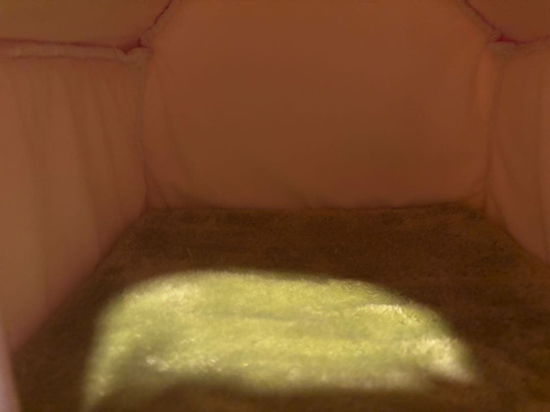 ペットパラダイス　スヌーピーハウス